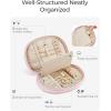 BAGSMART Travel Jewelry Case Jewelry Organizer Storage Roll Rings Necklaces Earrings Bracelets Brooches Watch Large Portable Light Pink(B–Light Pink)