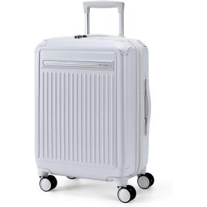 BAGSMART 20 inch Carry on Luggage with Spinner Wheel, Lightweight Carry on Suitcase TSA Lock, Hard Shell Carry on Luggage 22x14x9 Airline Approved Travel Suitcase, Sliver(Sliver)